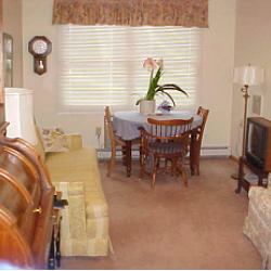 Apartment Living Room