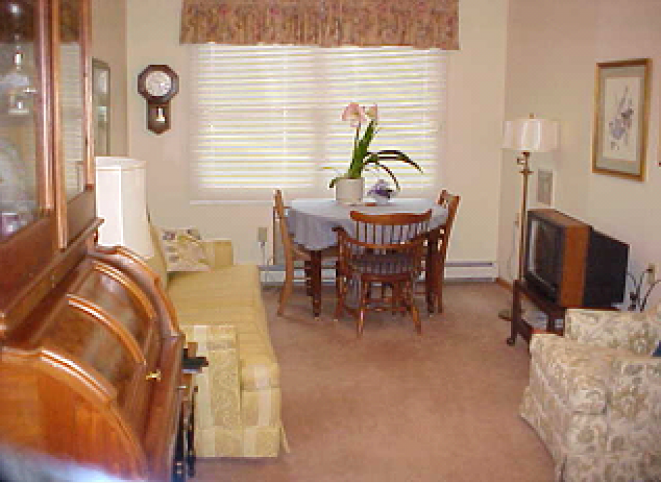 Apartment Living Room